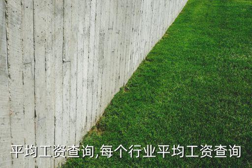 行业平均工资查询,每个行业平均工资查询