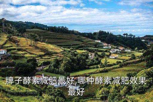 牌子酵素减肥最好,哪种酵素减肥效果最好
