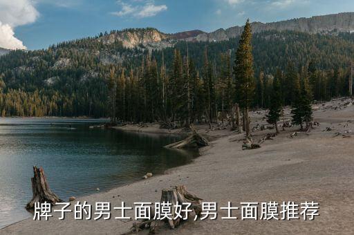 牌子的男士面膜好,男士面膜推荐