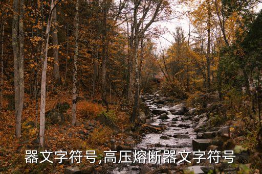 器文字符号,高压熔断器文字符号