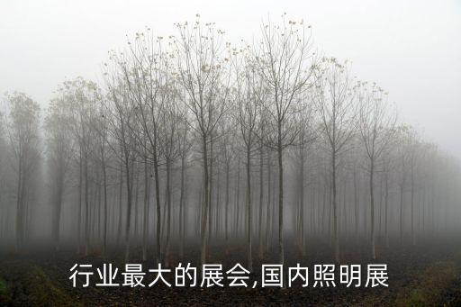 行业最大的展会,国内照明展