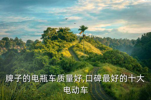 牌子的电瓶车质量好,口碑最好的十大电动车