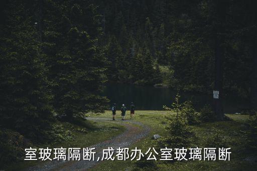 办公室玻璃隔断,成都办公室玻璃隔断