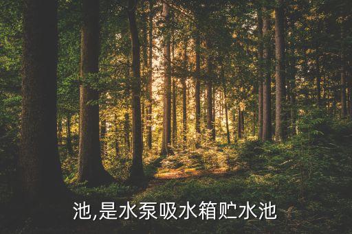 贮水池,是水泵吸水箱贮水池??