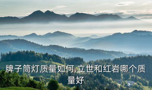 牌子筒灯质量如何,立世和红岩哪个质量好