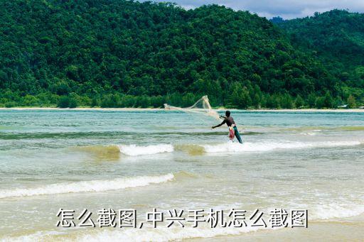 中兴怎么截图,中兴手机怎么截图?