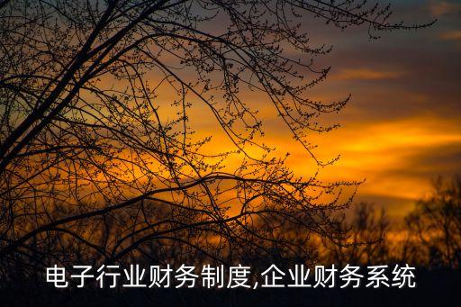 电子行业财务制度,企业财务系统