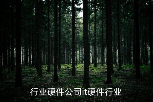 行业硬件公司it硬件行业