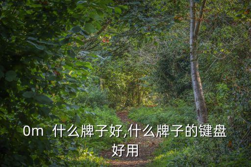 980m  什么牌子好,什么牌子的键盘好用?