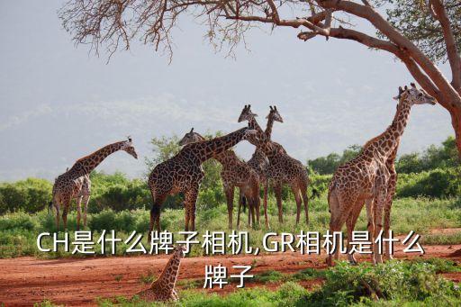 CH是什么牌子相机,GR相机是什么牌子