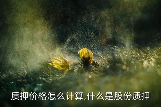 质押价格怎么计算,什么是股份质押