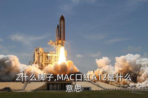 2什么牌子,MAC口红A12是什么意思