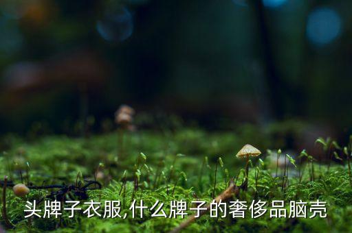 头牌子衣服,什么牌子的奢侈品脑壳