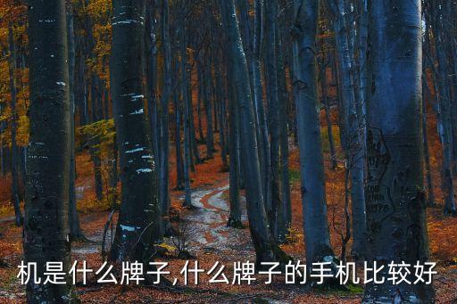 机是什么牌子,什么牌子的手机比较好