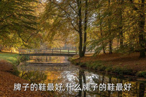 牌子的鞋最好,什么牌子的鞋最好