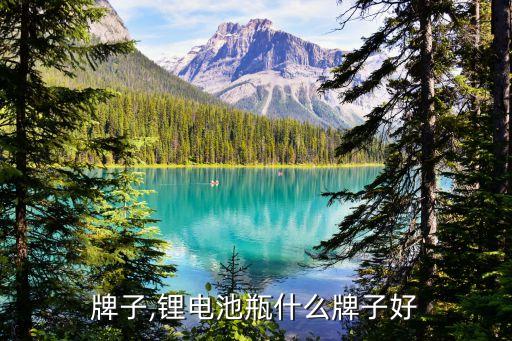 牌子,锂电池瓶什么牌子好