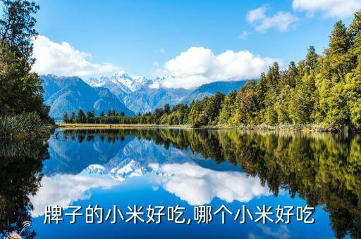 什么牌子的小米好吃,哪个小米好吃?
