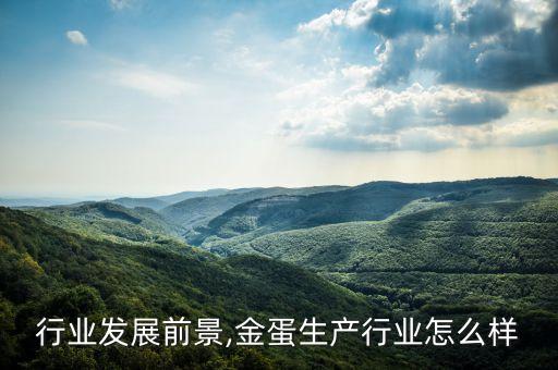 行业发展前景,金蛋生产行业怎么样