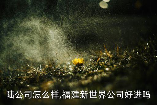 新大陆公司怎么样,福建新世界公司好进吗?