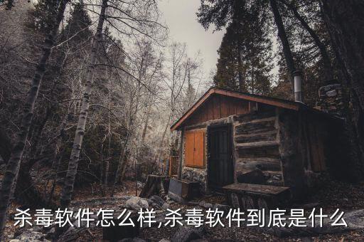 趋势杀毒软件怎么样,杀毒软件到底是什么?
