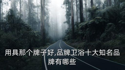 卫浴用具那个牌子好,品牌卫浴十大知名品牌有哪些?