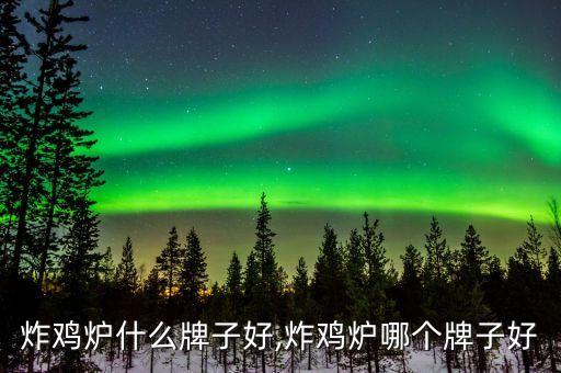 炸鸡炉什么牌子好,炸鸡炉哪个牌子好