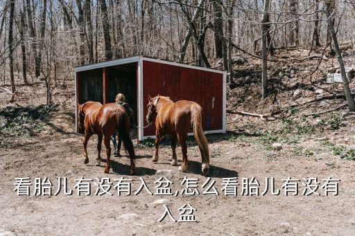 看胎儿有没有入盆,怎么看胎儿有没有入盆