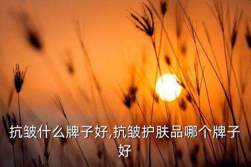 抗皱什么牌子好,抗皱护肤品哪个牌子好