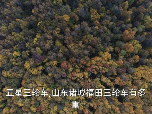 五星三轮车,山东诸城福田三轮车有多重