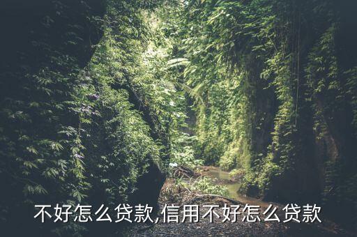 证信不好怎么贷款,信用不好怎么贷款?
