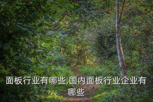 面板行业有哪些,国内面板行业企业有哪些