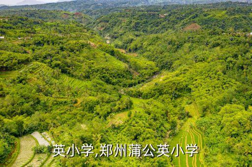 蒲公英小学,郑州蒲公英小学