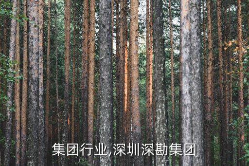 深堪集团行业,深圳深勘集团