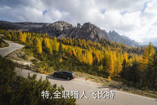 特,全职猎人飞比特