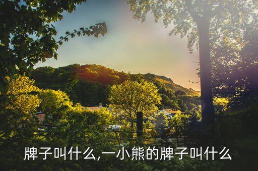 熊的牌子叫什么,一小熊的牌子叫什么