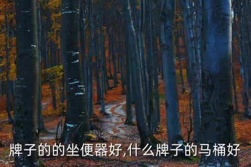 牌子的的坐便器好,什么牌子的马桶好