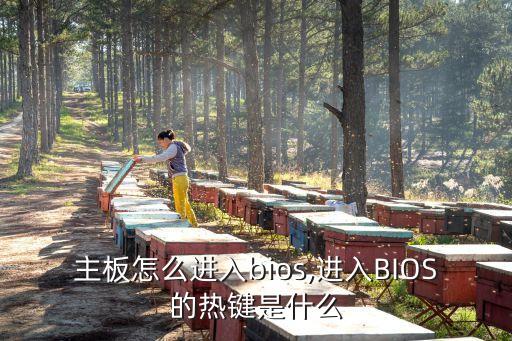 技嘉主板怎么进入bios,进入BIOS的热键是什么?