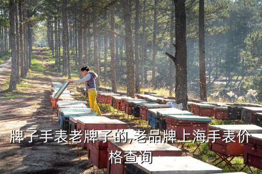 牌子手表老牌子的,老品牌上海手表价格查询