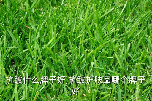 抗皱什么牌子好,抗皱护肤品哪个牌子好
