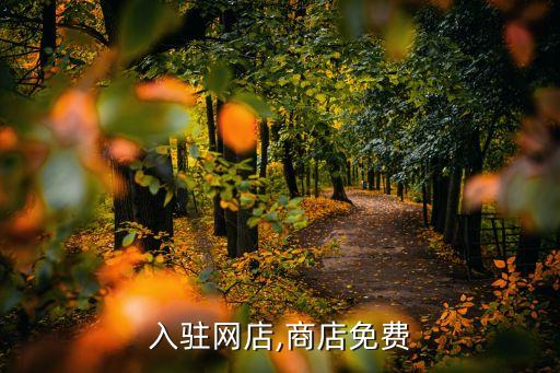 免费入驻网店,商店免费