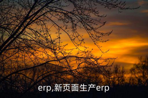 生产erp,新页面生产erp