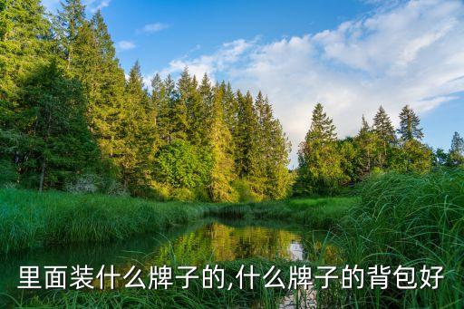 里面装什么牌子的,什么牌子的背包好