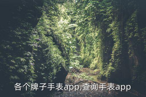 各个牌子手表app,查询手表app