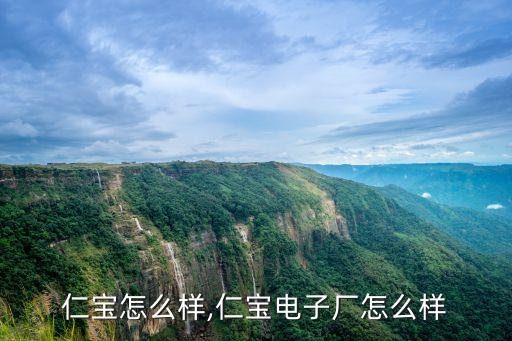 仁宝怎么样,仁宝电子厂怎么样