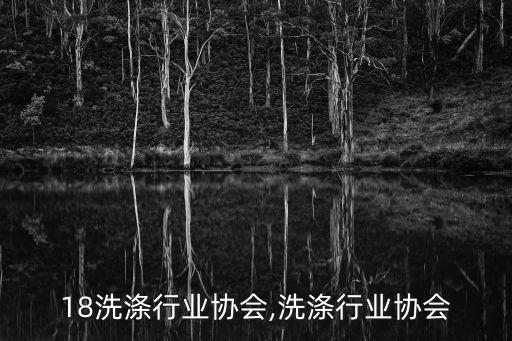 2018洗涤行业协会,洗涤行业协会