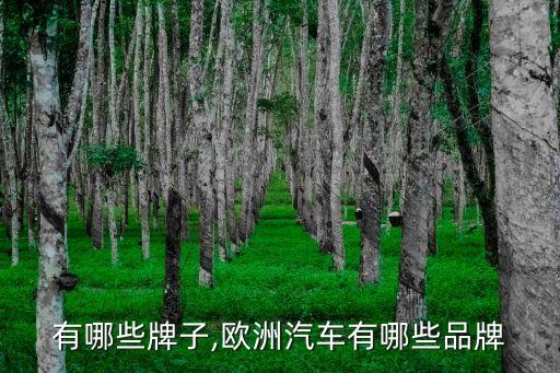 欧洲有哪些牌子,欧洲汽车有哪些品牌?