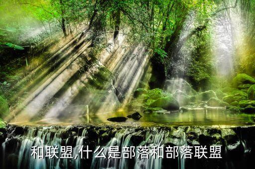 部落和联盟,什么是部落和部落联盟?