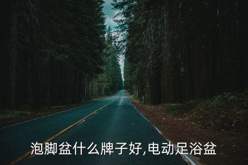 加热泡脚盆什么牌子好,电动足浴盆