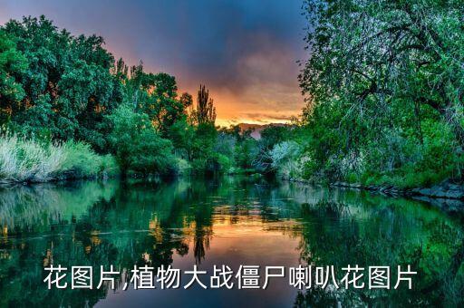 喇叭花图片,植物大战僵尸喇叭花图片