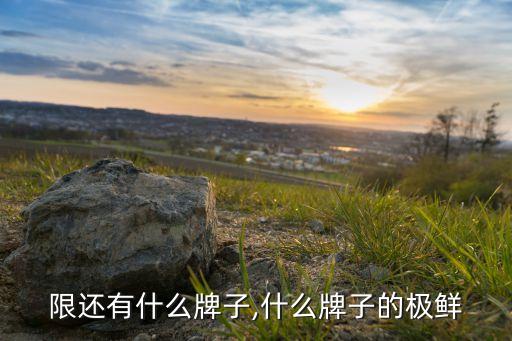 味极限还有什么牌子,什么牌子的极鲜?